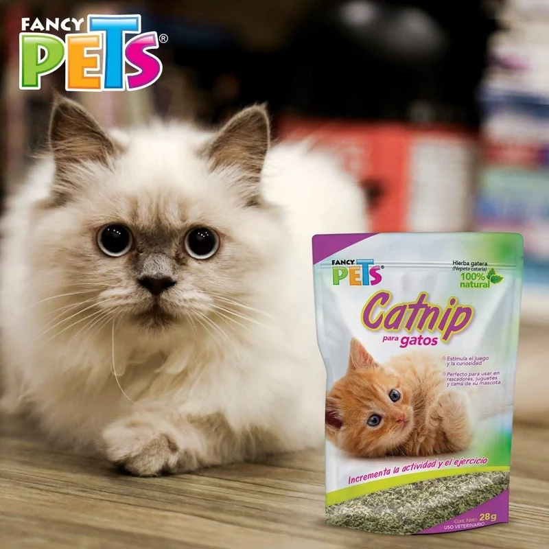 Fancy Pets Catnip para Gato o Hierba Gatera con 28 Gramos