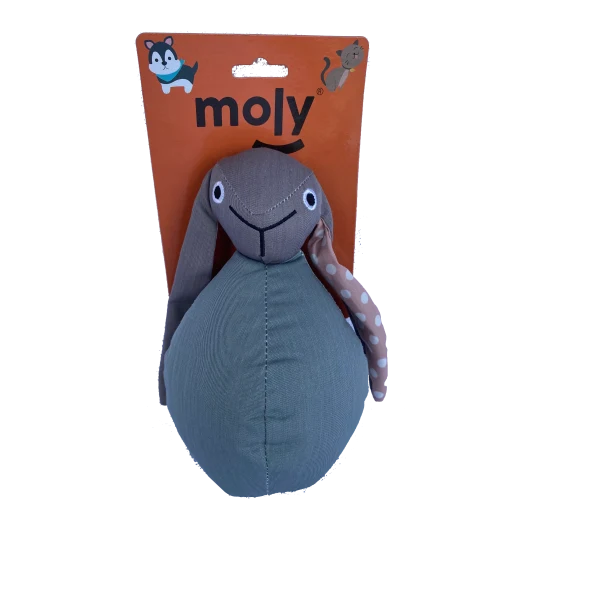 Moly Juguete Teddy Varias Texturas Interactivo