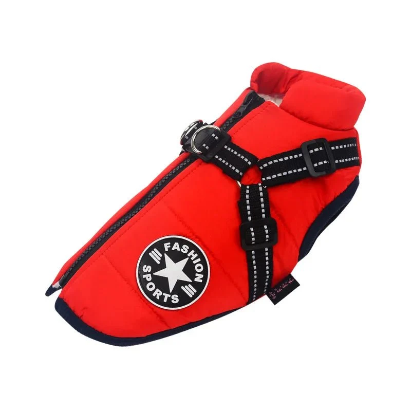 Veste Imperméable Pour Chien Confort Et Style
