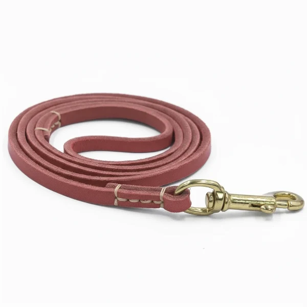 Laisse En Cuir Véritable Pour Chien