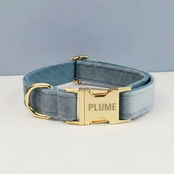 Collier Pour Chien Personnalisable Et Design