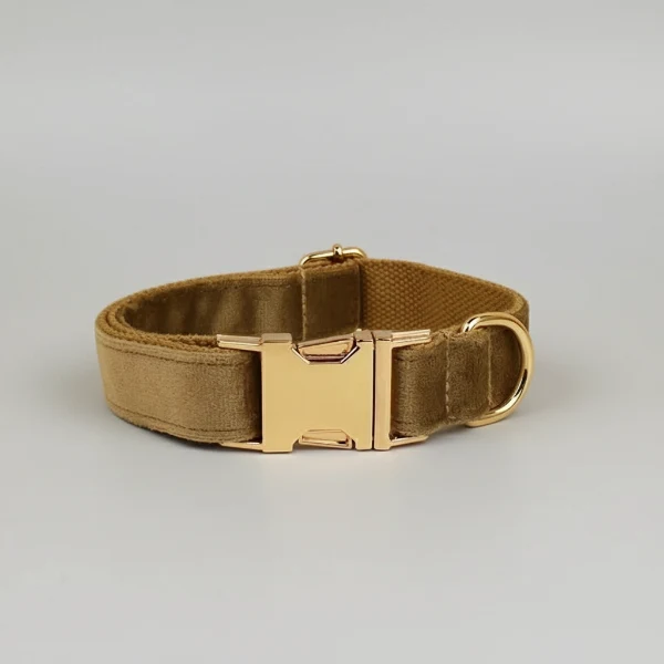 Collier velours chien Oscar et Plume - Élégance et confort