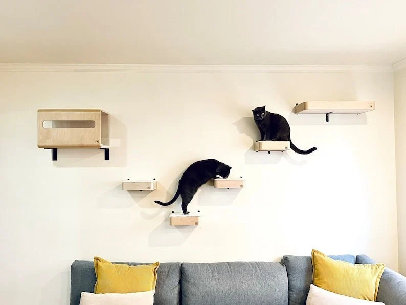 Étagère Murale Pour Chat Design