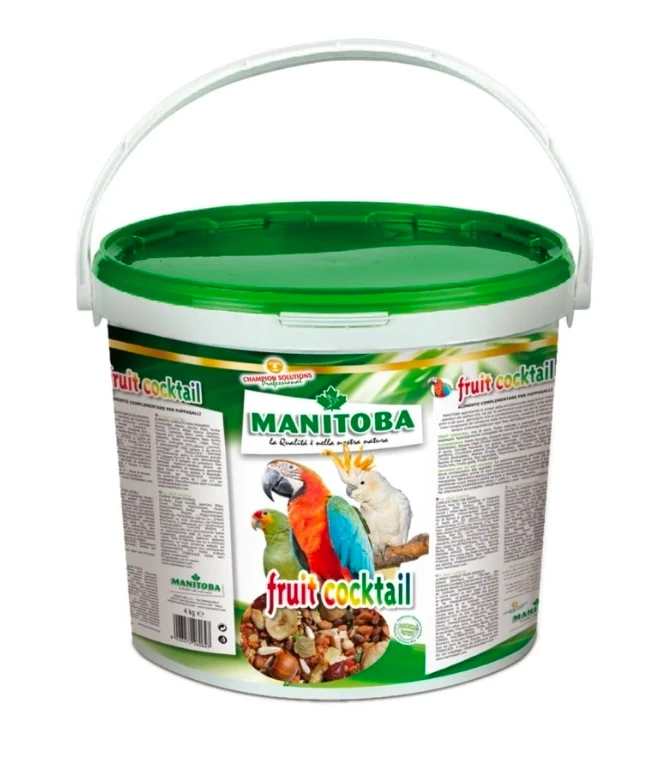 Cóctel de Manitoba (mezcla de frutas con frutos secos) 4 kg