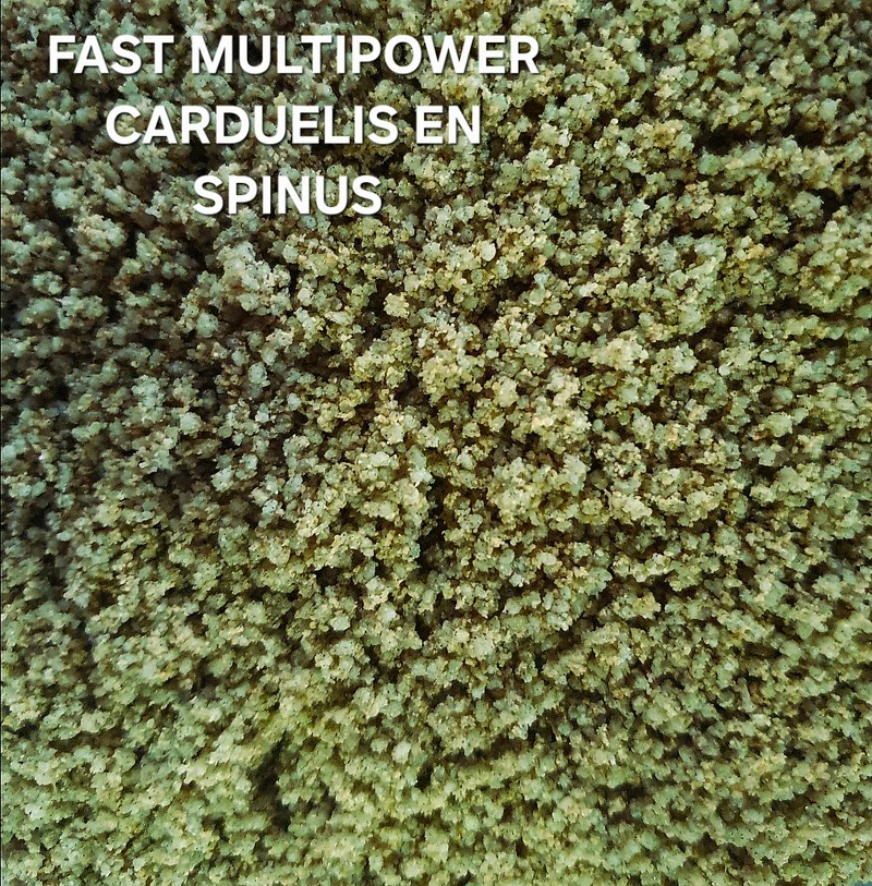 Fast Multipower Carduelis & Spinus 1 kg (envasado) - Pasta de huevo verde