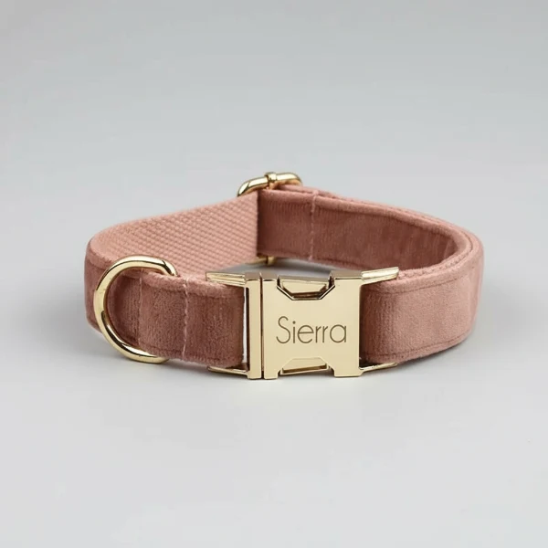 Collier velours pour chien personnalisable - Élégance et confort